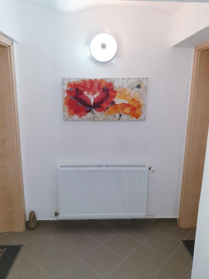 Ferienwohnung Castelului 1 Brașov Exterior foto